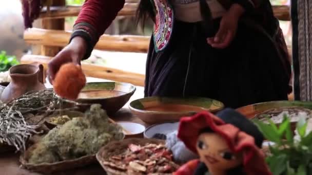 Process Natural Dyeing Alpaca Llama Wool Quechua Woman — Stock Video