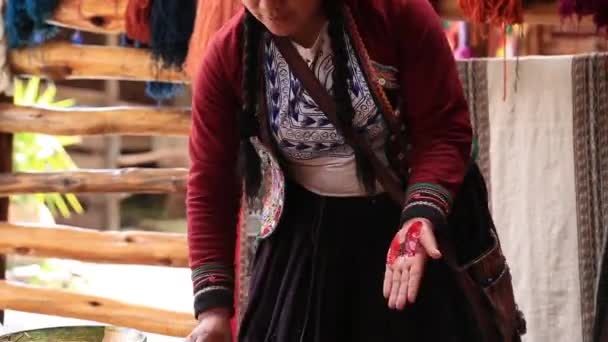Процесс Естественного Окрашивания Альпаки Ламы Женщина Кечуа — стоковое видео