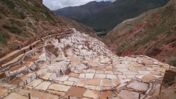 Terrazze Sale Conosciute Come Salineras Maras Nella Regione Cusco Perù — Video Stock