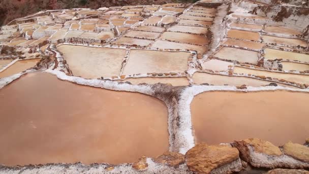 Salt Terraces Known Salineras Maras Cusco Region Peru — Stock Video