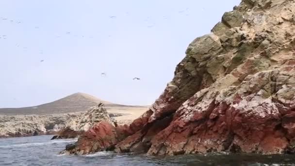 Nationale Reserve Van Paracas Peru — Stockvideo