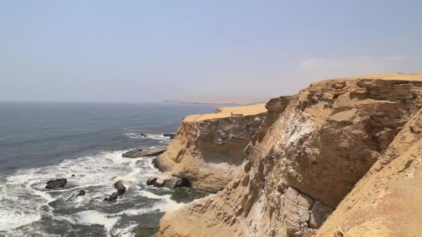 Nationell Reserv Paracas Peru — Stockvideo