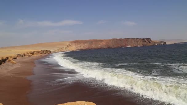 Nationale Reserve Van Paracas Peru — Stockvideo