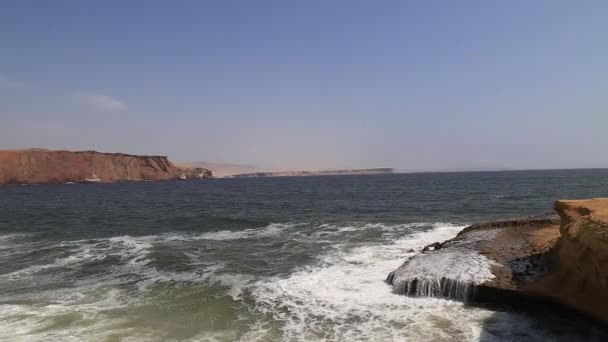 Nationell Reserv Paracas Peru — Stockvideo