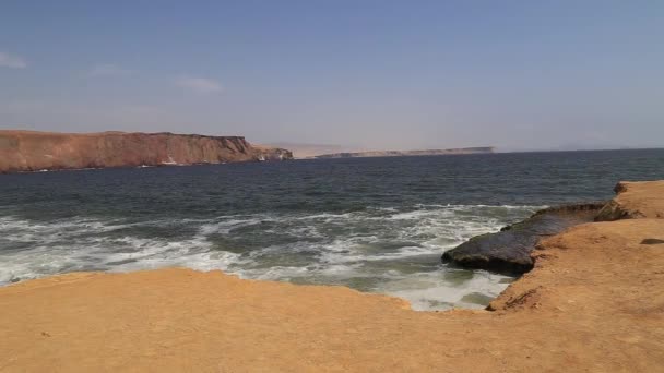 Reserva Nacional Paracas Perú — Vídeo de stock