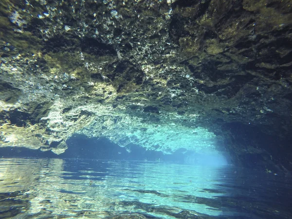 Undervattens bild av Cenotes Turtle House Tulum i Yucatan, Mexico — Stockfoto