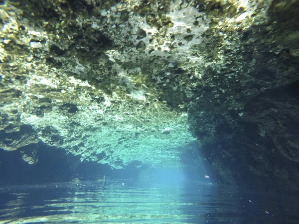 Vista subacquea di Cenotes Turtle House Tulum a Yucatan, Messico — Foto Stock