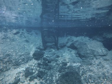 Yucatan, Meksika Cenotes Turtle House Tulum sualtı görünümü