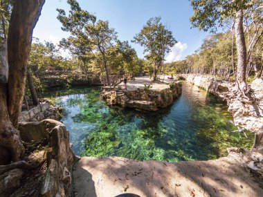 Yucatan, Meksika Kaplumbağa evi Cenotes Tulum Panoramik görünümü