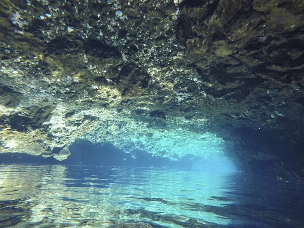 Подводный вид черепашьего дома Cenotes Tulum в Юкатане, Мексика — стоковое фото