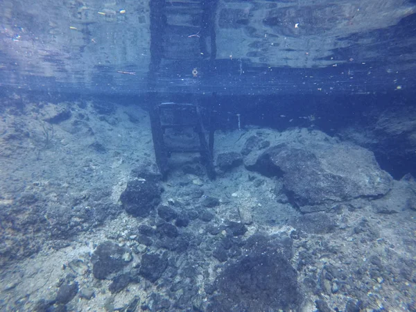 墨西哥尤卡坦的切尼斯海龟之家图卢姆的水下景观 — 图库照片