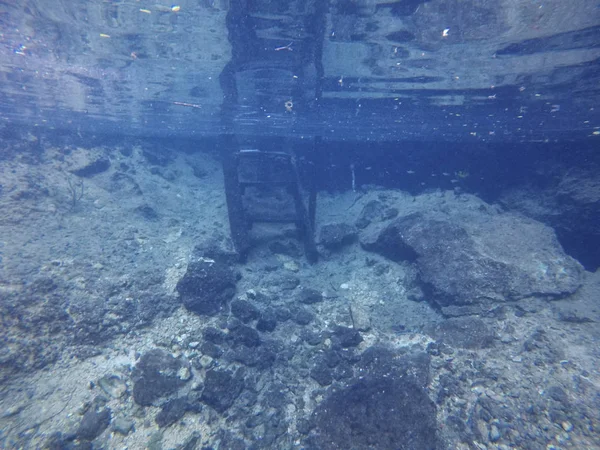 墨西哥尤卡坦的切尼斯海龟之家图卢姆的水下景观 — 图库照片