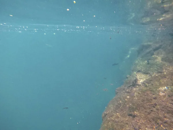 Panoramatický výhled na želví dům Cenotes Tulum v mexickém Jucatanu — Stock fotografie