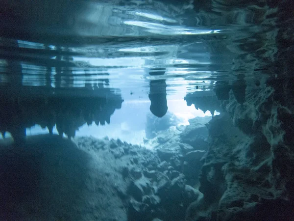 Undervattens bild av Cenotes Turtle House Tulum i Yucatan, Mexico — Stockfoto