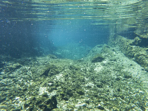 Widok podwodny z Cenotes Turtle House Tulum w Yucatan, Meksyk — Zdjęcie stockowe