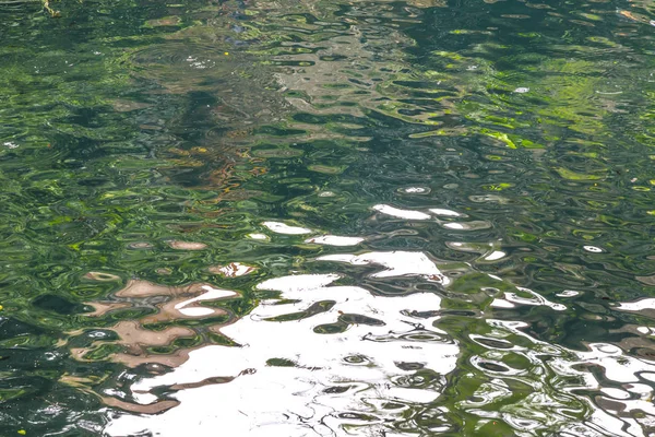 Cenote Zaci Valladolid, México: é um sumidouro natural, resultante do colapso da rocha calcária que expõe as águas subterrâneas sob — Fotografia de Stock