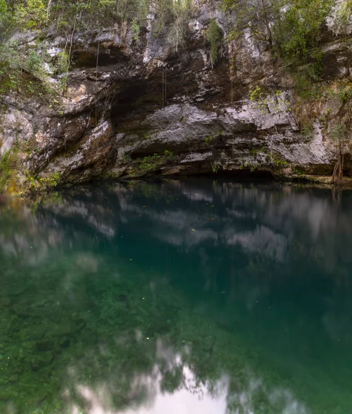 Cenote Zaci - Valladolid, Mexico: is a natural sinkhole, resulting from the collapse of limestone bedrock that exposes groundwater underneath — Stock Photo, Image