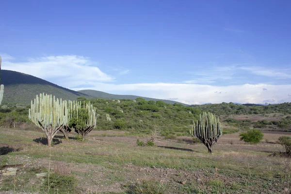 Vista del desierto hacia las montañas — Foto de Stock