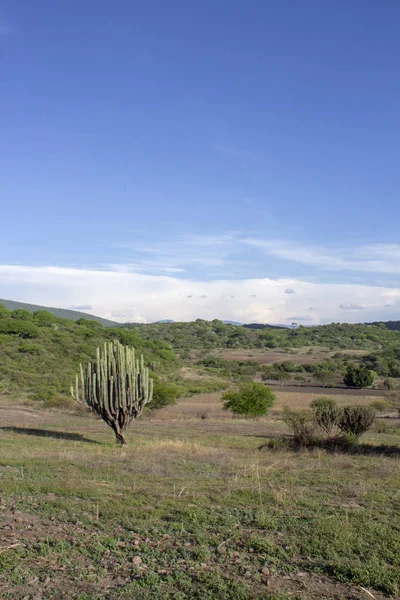 Desert View towards the mountains — Stock Photo, Image