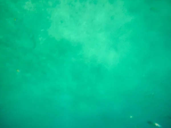 浮潜，洛斯阿科斯国家海洋公园在墨西哥巴亚尔塔港附近 — 图库照片