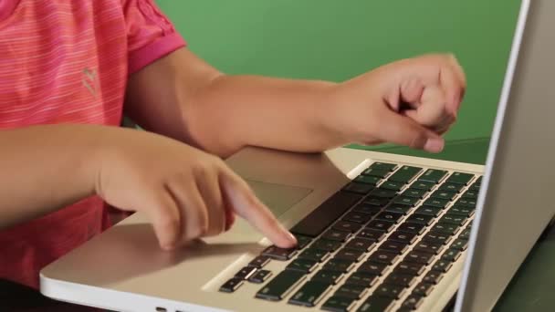 Mädchenhände Tippen Auf Einer Laptop Tastatur — Stockvideo