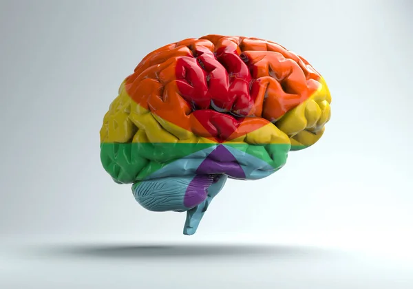 Beyaz Arka Plan Resimde Lgbt Renklerine Sahip Beyin — Stok fotoğraf