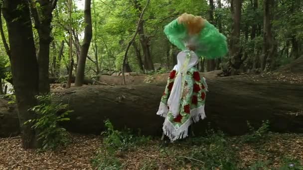 Charro Ballerino Messicano Costume Tradizionale Danza Popolare Tlaxcala Carnevale Del — Video Stock