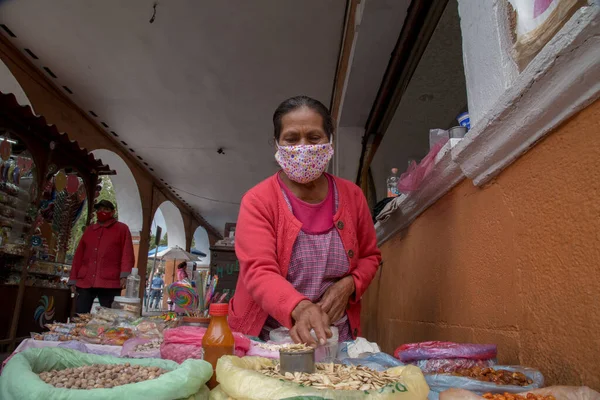 Portret Van Inheemse Vrouw Die Traditionele Zaden Verkoopt Mexico — Stockfoto