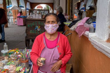 Geleneksel tohum satan yerli bir kadının portresi Meksika