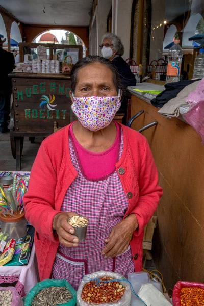 Retrato Mujer Indígena Vendiendo Semillas Tradicionales México — Foto de Stock