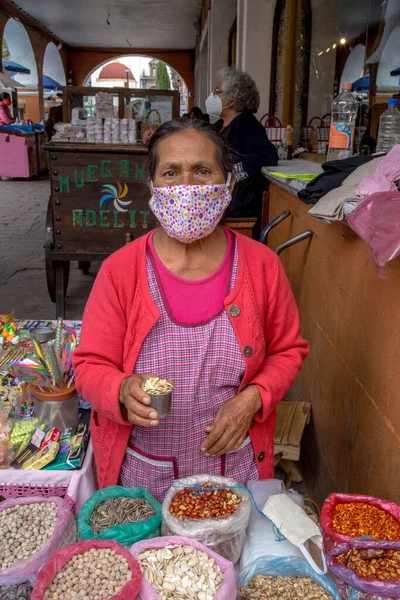 Porträt Einer Indigenen Frau Die Traditionelles Saatgut Verkauft Mexiko — Stockfoto