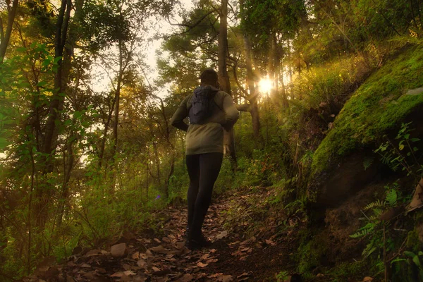 Löpare Springer Genom Dimmig Morgonskog Soluppgången — Stockfoto