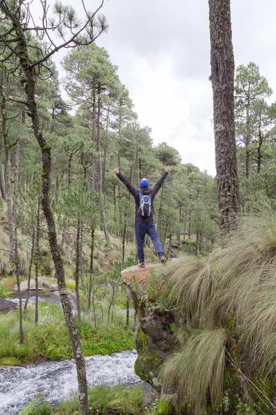 Hombre Abrazando Naturaleza Difundir Las Armas Hacia Parque Nacional Zoquiapan —  Fotos de Stock