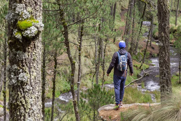 Homme Profitant Cascade Beauté Dans Parc National Zta Popo Zoquiapan — Photo