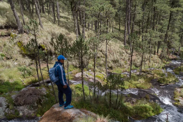 Een Man Genietend Van Schoonheid Waterval Zta Popo Zoquiapan National — Stockfoto