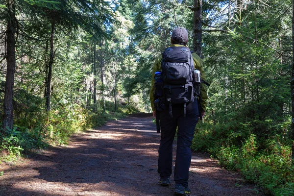 Man Wandelen Het Bos Monte Tlaloc — Stockfoto