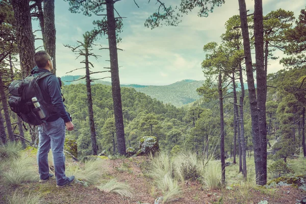 Mannelijke Wandelaar Met Rugzak Staat Een Weiland Bergen — Stockfoto