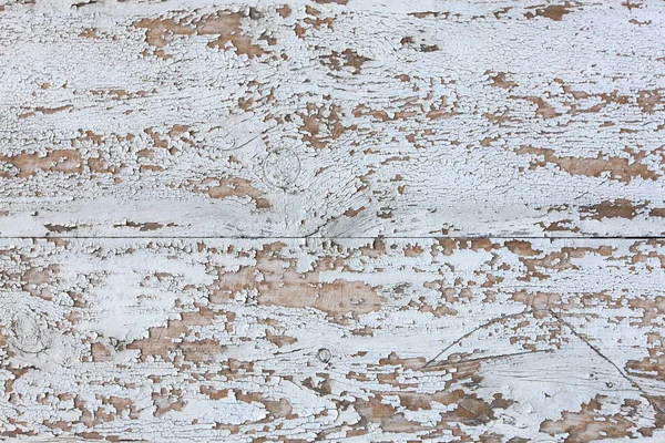 Witte Textuur Geschilderd Houten Planken — Stockfoto