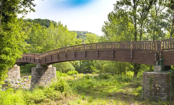 Wooden Bridge Forest Spain — Stock Photo, Image