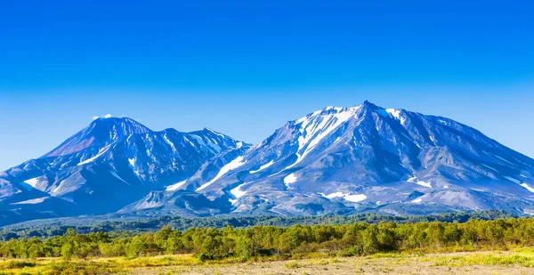 Panorama Kamczatki Wulkanów Avachinsky Kozielskij Wulkany Kamczatki Jesienią Pokryte Śniegiem — Zdjęcie stockowe