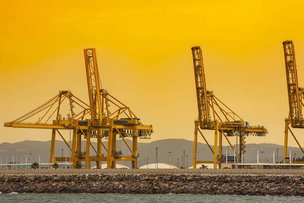 Cargo and transportation industry - cargo shipping and commercial terminal in seaport at sunset. Industrial landscape with gantry cranes in sea port.