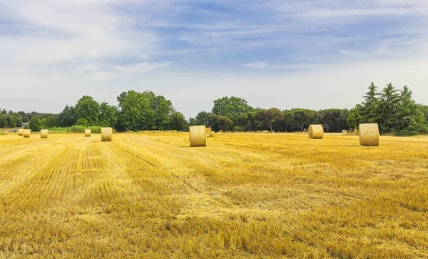 Halm Balles Fältet Spanien — Stockfoto