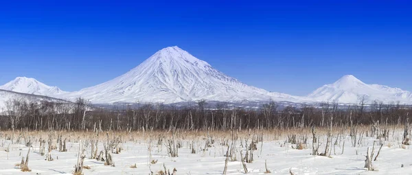 Inverno Paisagem Montanhosa Península Kamchatka — Fotografia de Stock