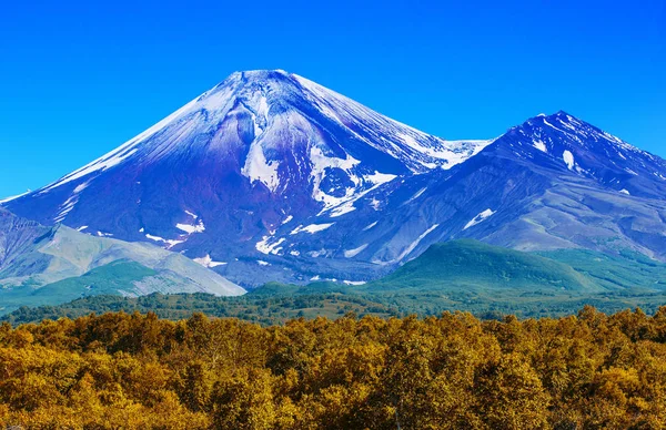 Volcán Avachinsky Kamchatka Otoño Con Una Cima Cubierta Nieve — Foto de Stock