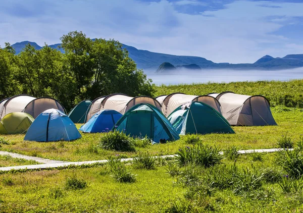 Tente Camping Dans Terrain Camping Parc National Touristes Campés Dans — Photo