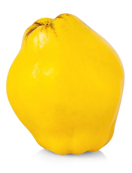 O marmelo amarelo fresco isolado fundo branco — Fotografia de Stock