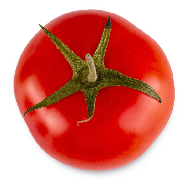 De rode tomaat geïsoleerd op witte achtergrond. — Stockfoto