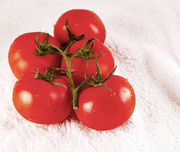 Los hermosos tomates frescos en la superficie blanca —  Fotos de Stock