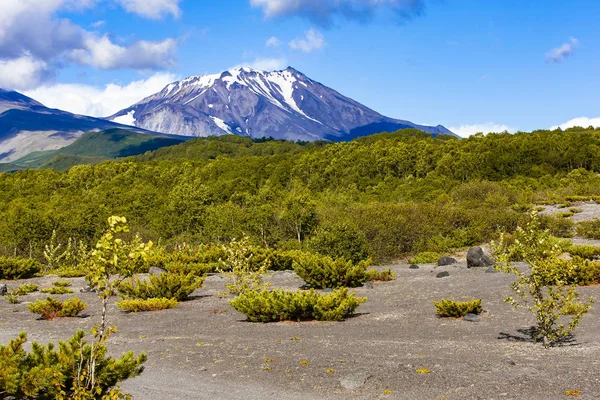 Vedute del vulcano Kozelsky e dei piedi del vulcano Avachinsky — Foto Stock