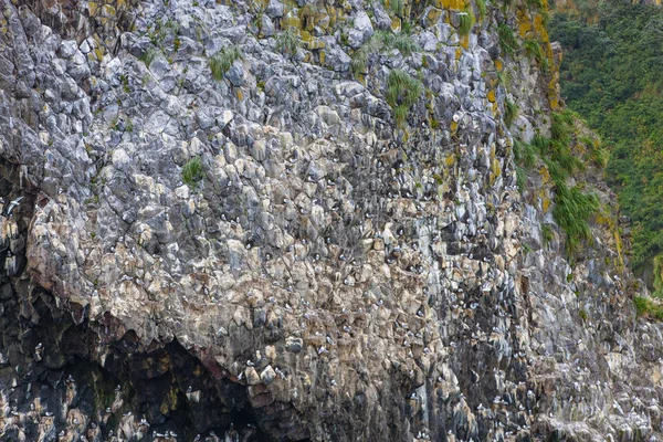 Закрытие скалы у входа в Тихий океан — стоковое фото